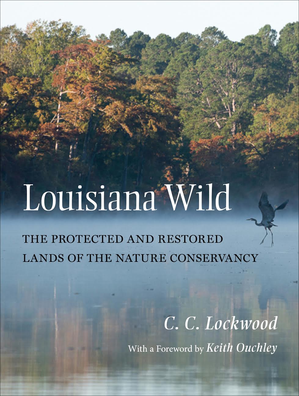 Louisiana Wild book cover