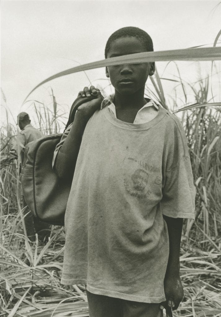 Boy with Sugar Cane Leaf 2001 Gelatin silver print 16 x 20 in. ©Raúl Cañibano