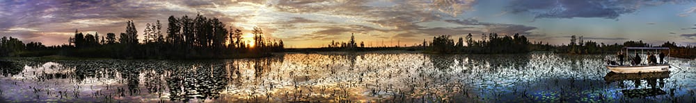 Swamp Boat ©Teri Darnell