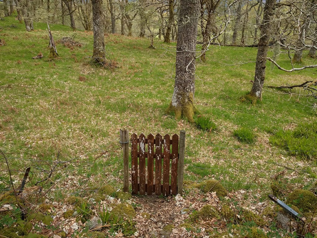 Day Four, two miles out of Fort Augustus, forty-seven miles in. One of the endearing aspects of walking across Scotland is that the access laws allow you to hike just about anywhere so long as you respect the property you’re walking on and take responsibility for your own safety. What a novel idea. In the States, if I’m not hiking in a public park, I’m trespassing. I’ve been shot at, chased down by ATVs and dogs, climbed countless barbed-wire fences in the middle of nowhere, all in the name of discreetly enjoying Mother Nature. That said, I didn't dare walk past this gate.