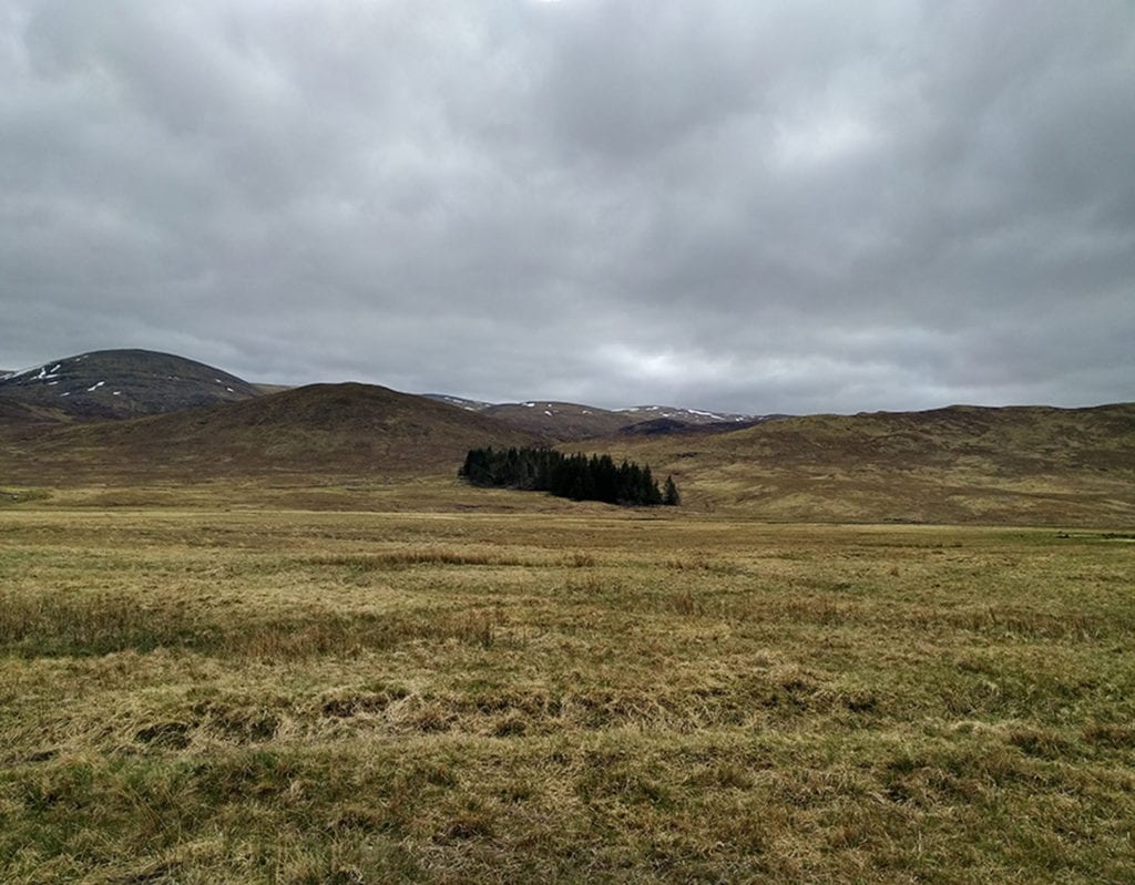 Unnamed Forest, Highlands of Scotland, Corrieyairack Pass.