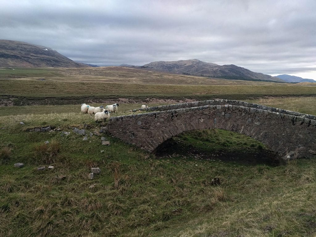 Day Five. The Cairngorms, Highlands of Scotland, seventy miles in. The Challenge is not a competitive event. Everyone makes their own way across Scotland using different footpaths, farm tracks or ancient military roads. The Challenge is about using your wits to get to the other side of the country on foot in a fortnight. A story I heard on the trail was that on a prior event, one of the guys tended to be a bit of a show-off, getting up the mountains before everyone else and talking all about it at the end of the day. One night, while regaling his buddies in the pub, one of the boys went out back, found the biggest rock available and stuffed it into the bottom of Hercules’ rucksack. The next day, it was all he could do to hang at the back of his group, whining that he must have had too much to drink. Today, the stone rests on his mantelpiece. 