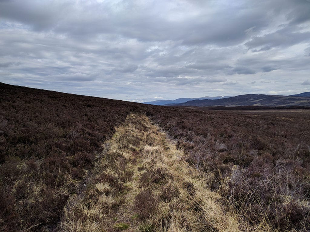 Part bushwacking, part walking over the ghosts of old trails like this one across the Nuide Moss moors. Like most of my journey, I had it completely to myself. A gorgeous day.