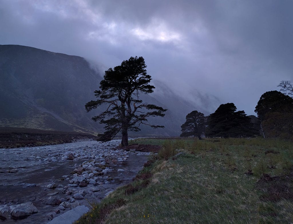 Glen Feshie. The package from ZPacks arrived in an envelope the size of a large Christmas card. Inside was $500 worth of rain gear – a rain jacket, rain pants and rain mittens. Total weight six ounces. I was certain I had been scammed but on this afternoon these items, and my Zamberlans, got me through the day mostly dry. 