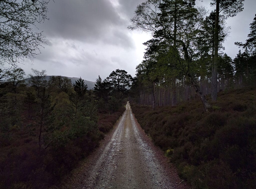 Ballochbuie Forest. Five miles east of Braemar. Almost all of the Challengers I met used professional grade hiking poles. I prefer a big stick. It leaves one arm free and I can test the waters, muck and sewage just as easily. My ideal stick is long enough to push aside thorns and sticker bushes and strong enough to deal with oncoming dogs. In fifty years of hiking, I have never had to hit a dog although there have been some tense standoffs. Once upon a time, I had to whack a raging rabid raccoon who was trying to turn me into Old Yeller. On one of the very rare occasions when I didn’t carry my stick, I was set upon by a pack of wild dogs and had to get rabies shots. So no skinny hiking poles for me. 