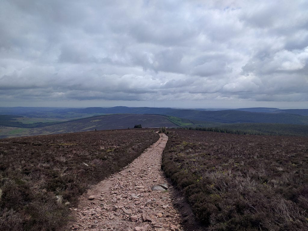 Cairn Kerloch, Mounth Range. Like the old horse that sees the open barn door across the field, my pace quickened - I knew that the North Sea was just beyond that last bump on the horizon. 