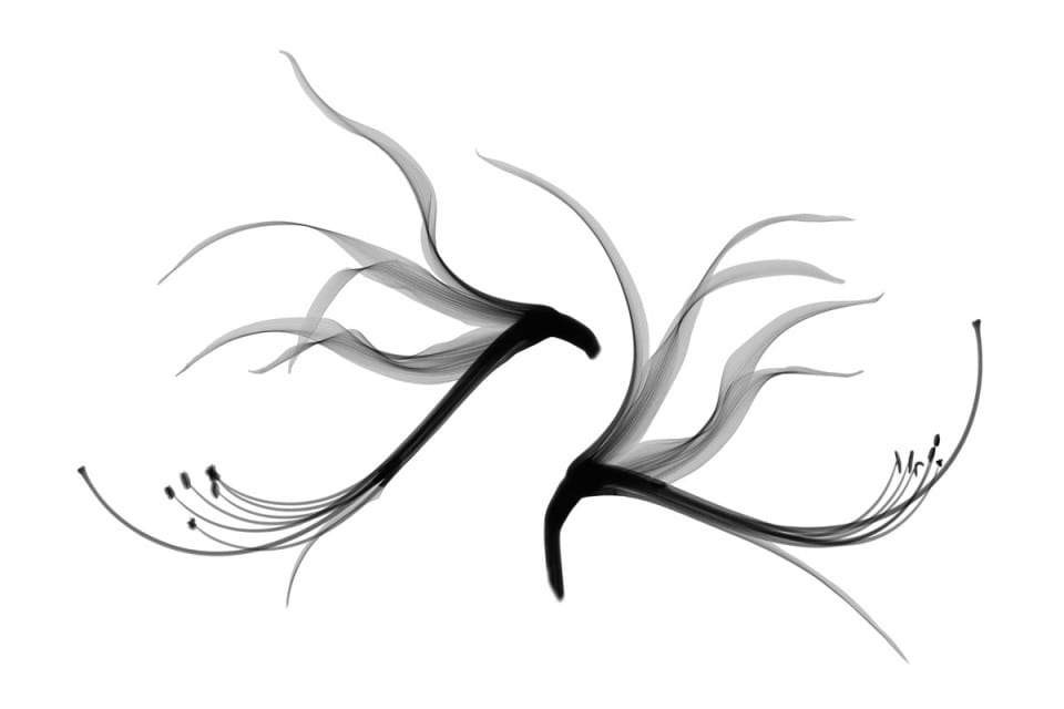 f00ab2a5-6970-4885-8651-f6f26f3f780a